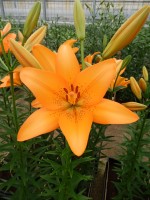 [4059 Casino Royale No02.JPG]